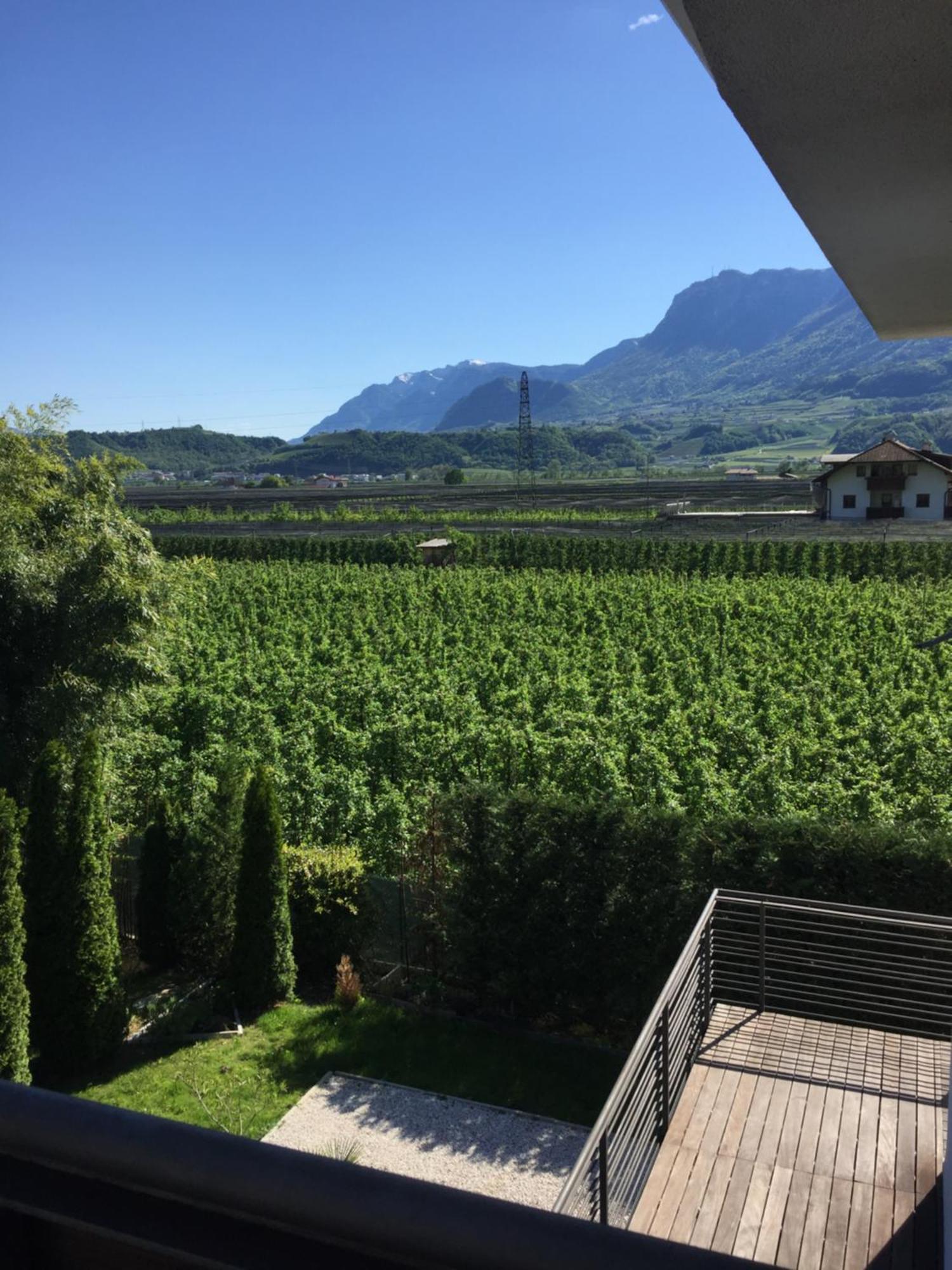 B&B Mele D'Oro Bolzano Eksteriør billede
